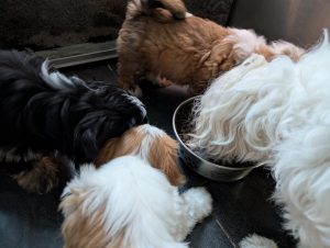 12689299-c216-4404-99c1-0d4fe9b7624e