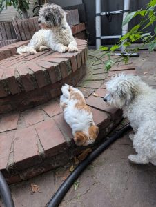 643264ff-2013-4254-86d6-554ce111d99c