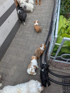 91db19aa-4004-4cac-9546-808fb8785a24