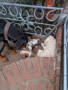 b47c1bd8-9726-4f71-9085-6931b62dd9e4