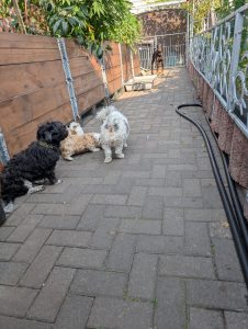 e265c2ec-37d3-4575-8738-f44972a4be0a