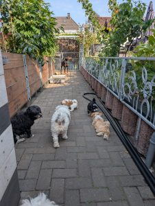 ef75e74e-7d04-42df-bd28-2375c3a67963