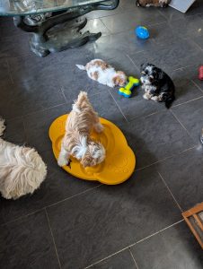 f2cd0022-334e-4df6-8fa5-f7c53becb8dc