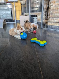 ffc69a00-1d43-46ce-a7cb-029973943ff3